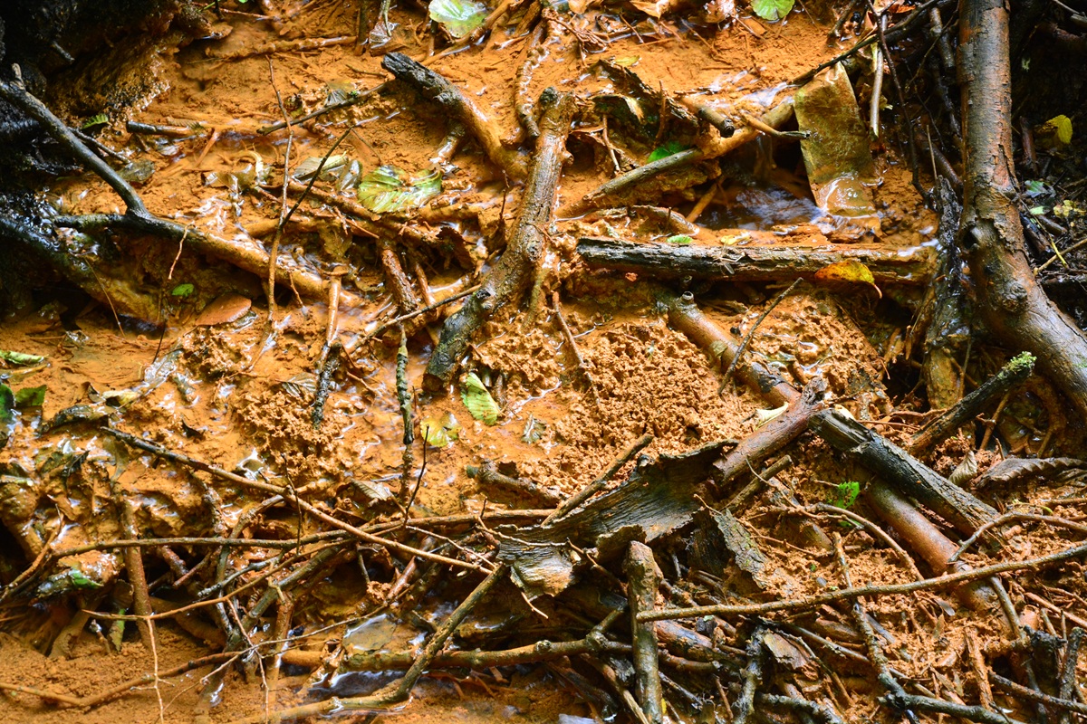 Eisenocker abgelagert